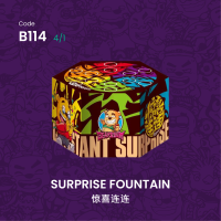 B114 | SURPRISE FOUNTAIN 惊喜连连