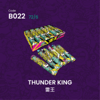 A022 雷王 THUNDER KING